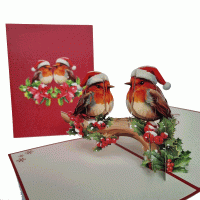 pop-up kerst vogels kaart